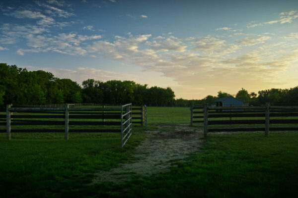 A picturesque morning on the ranch