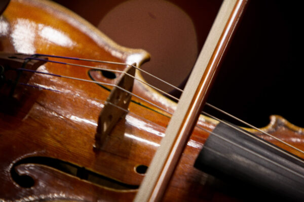 Close-Up of the violin's bow and strings