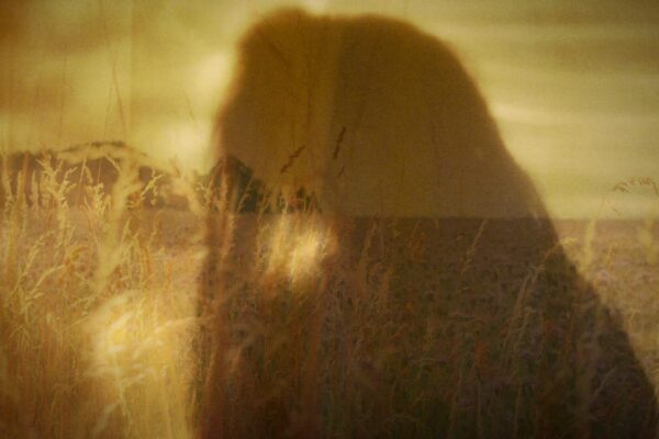 Jasmine shadow overlaid an image of a field